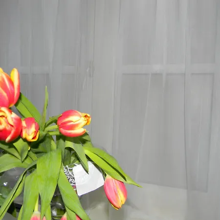 Apartahotel Amsterdamconcierge